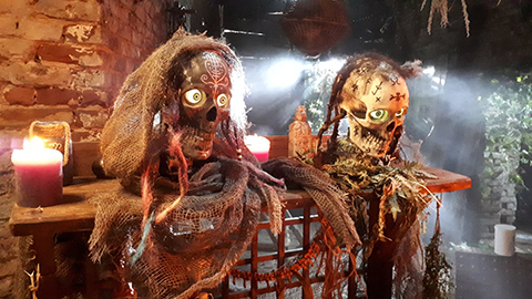 Halloween Skulls Customer Submitted Videos